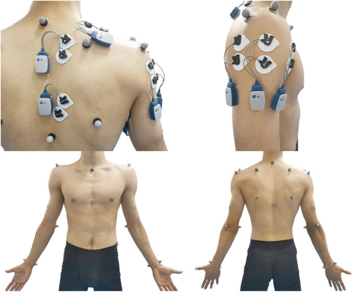 Later anterior deltoid head Electrode Placement for Compex Muscle