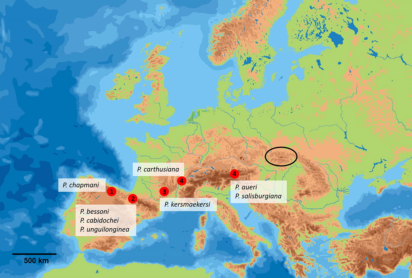 www.frontiersin.org