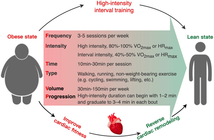 Interval training within the context of aerobic workouts involves sale