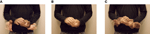 www.frontiersin.org