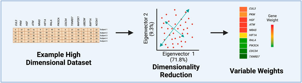 Advancing Computational Toxicology by Interpretable Machine Learning