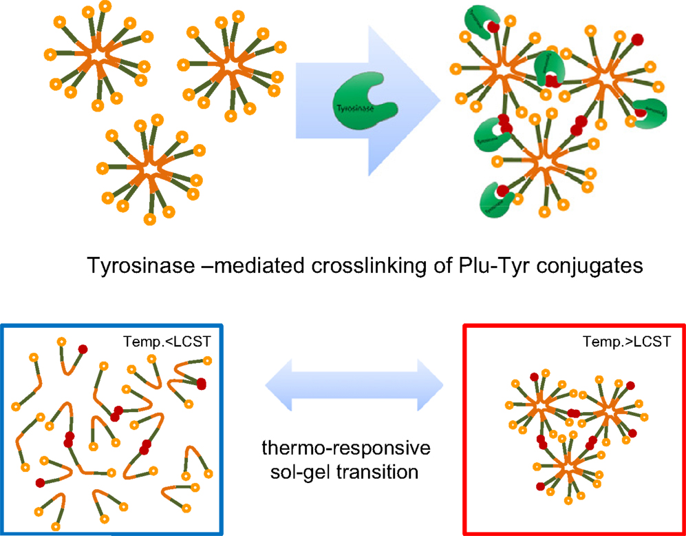 Frontiers in polyionic liquids: syntheses and applications