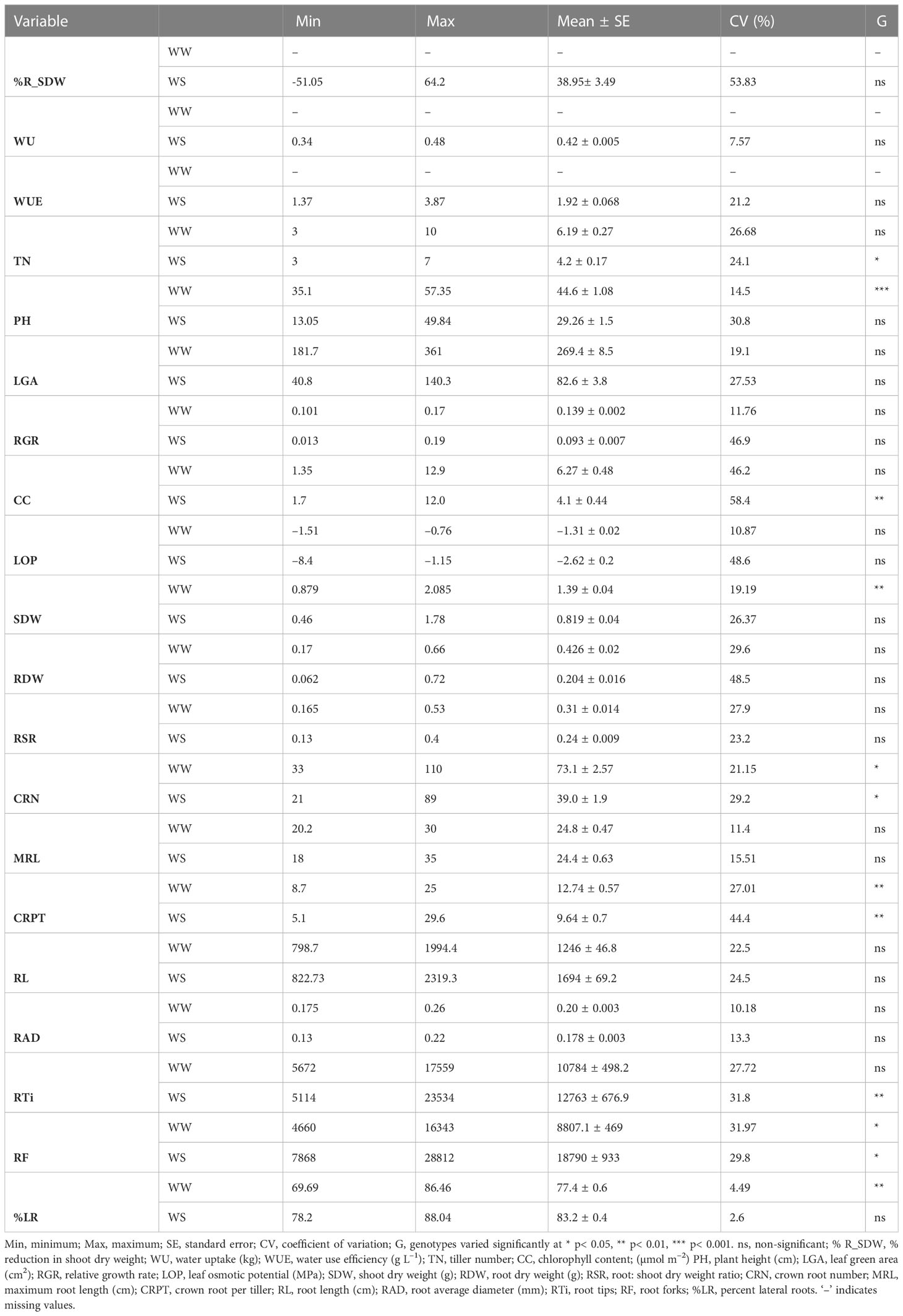 Frontiers | Physiology and growth of newly bred Basmati rice lines in ...