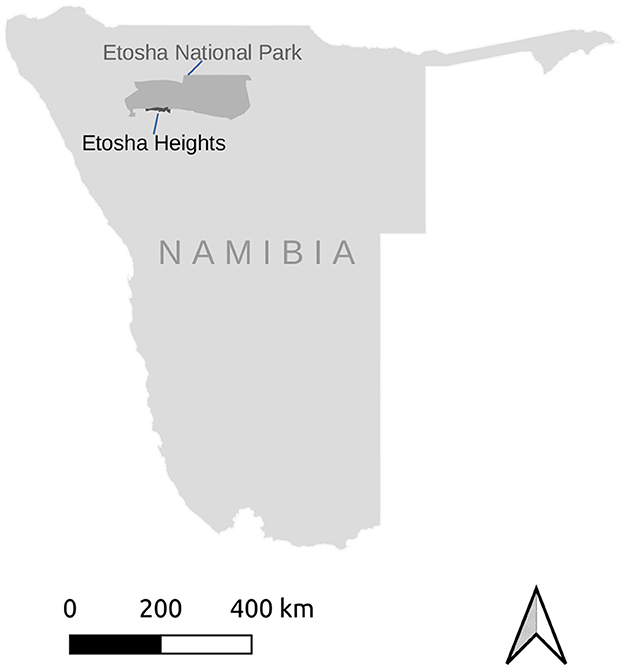 www.frontiersin.org
