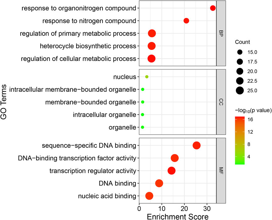 Frontiers  Identification of WRKY gene family members in amaranth based on  a transcriptome database and functional analysis of AtrWRKY42-2 in betalain  metabolism