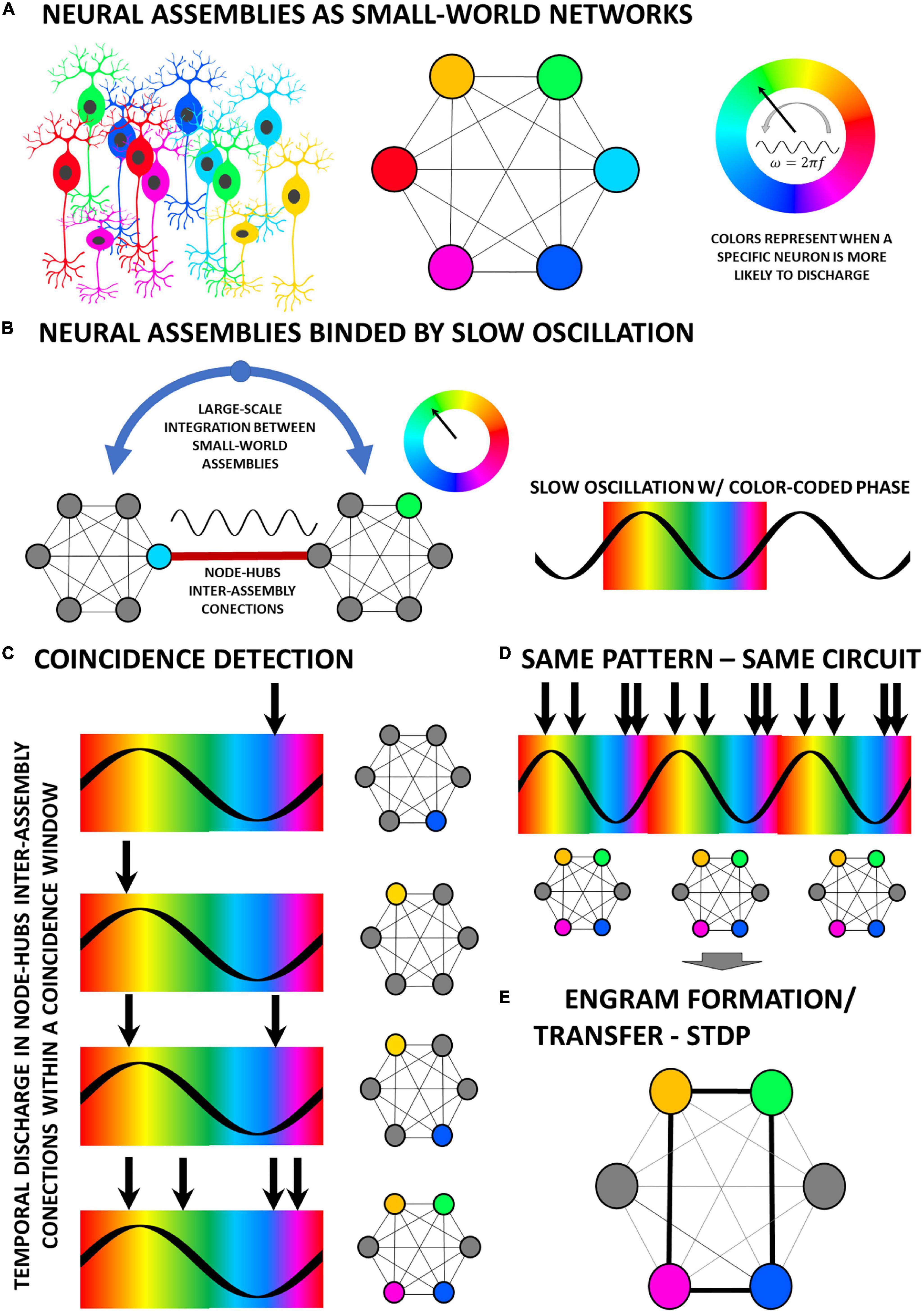 future  Qualia Computing