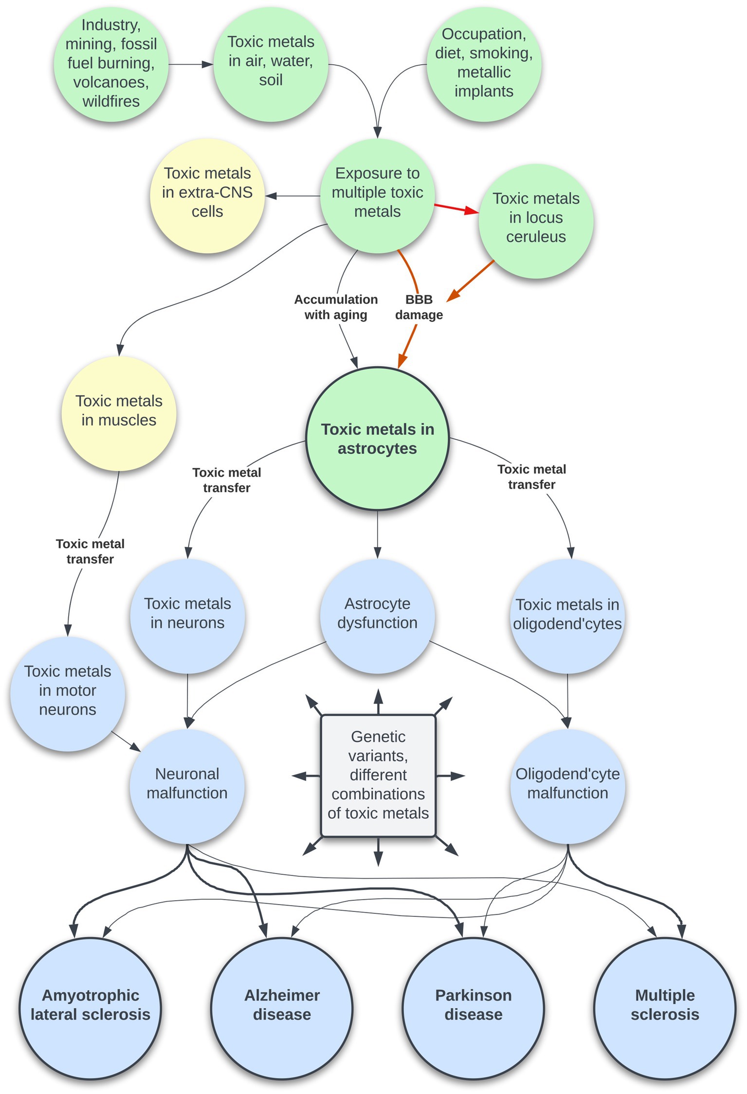 Frontiers  Lysosomal Diseases and Neuropsychiatry: Opportunities