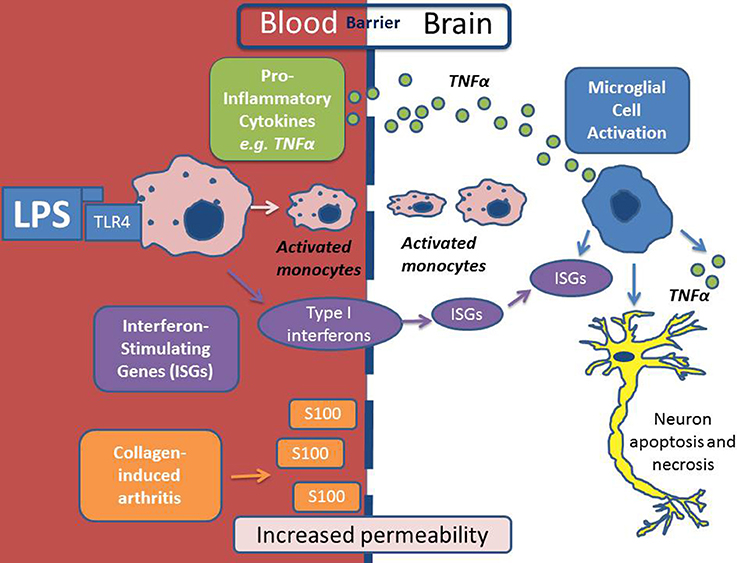 celebrex autoimmune disorders