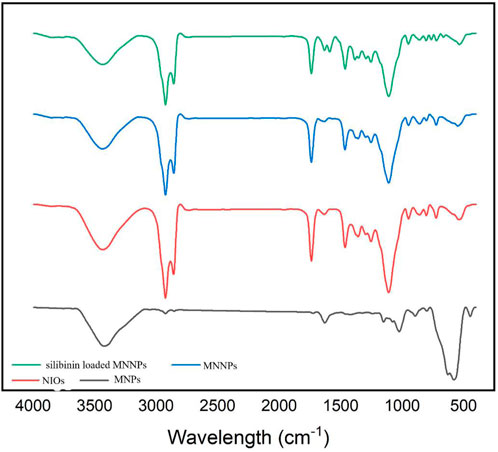 FT-IR spectra of (A) chitosan, (B) mPEG, (C) mPEG-chitosan, (D) HA