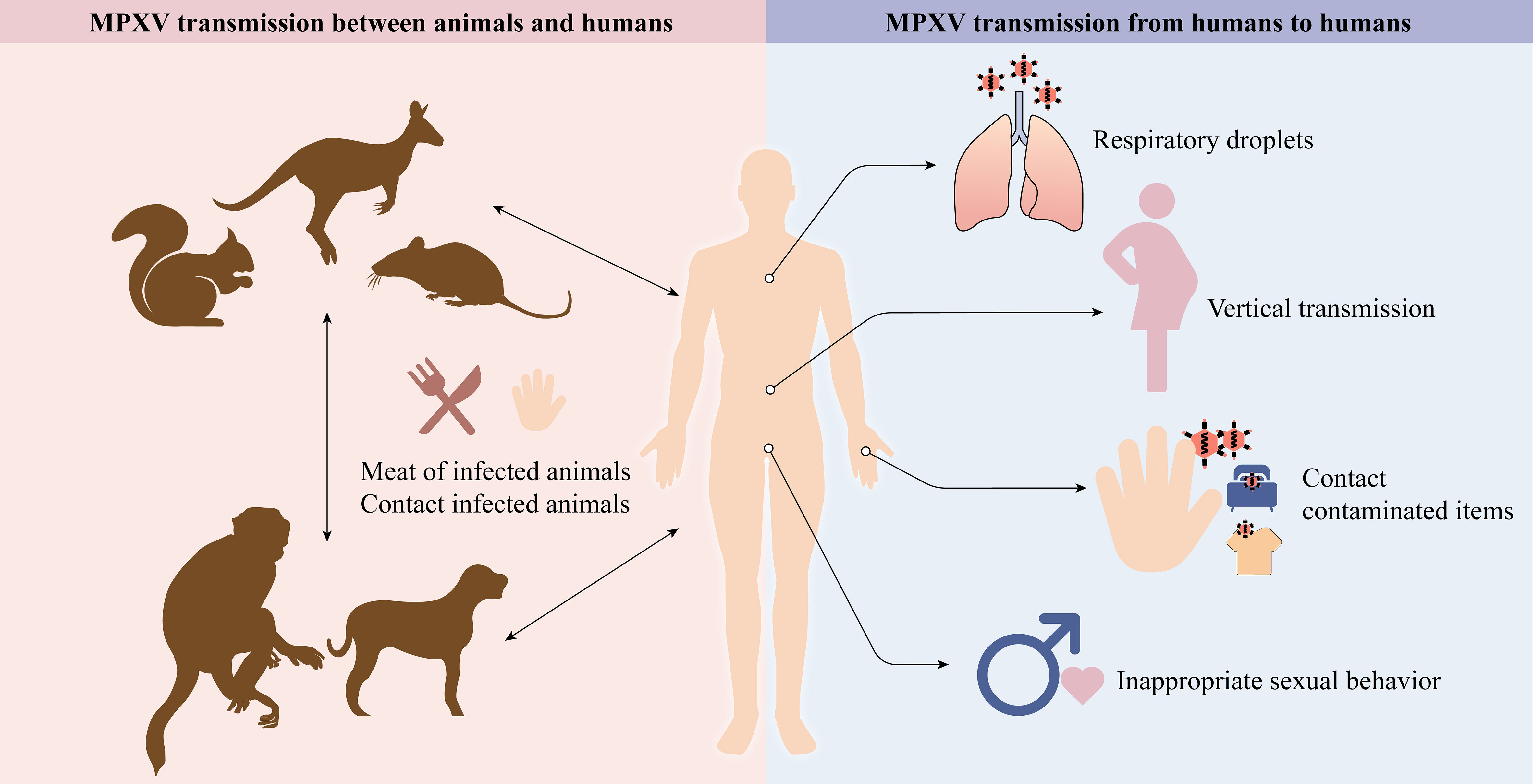 Monkeypox spreads by more than just sexual contact