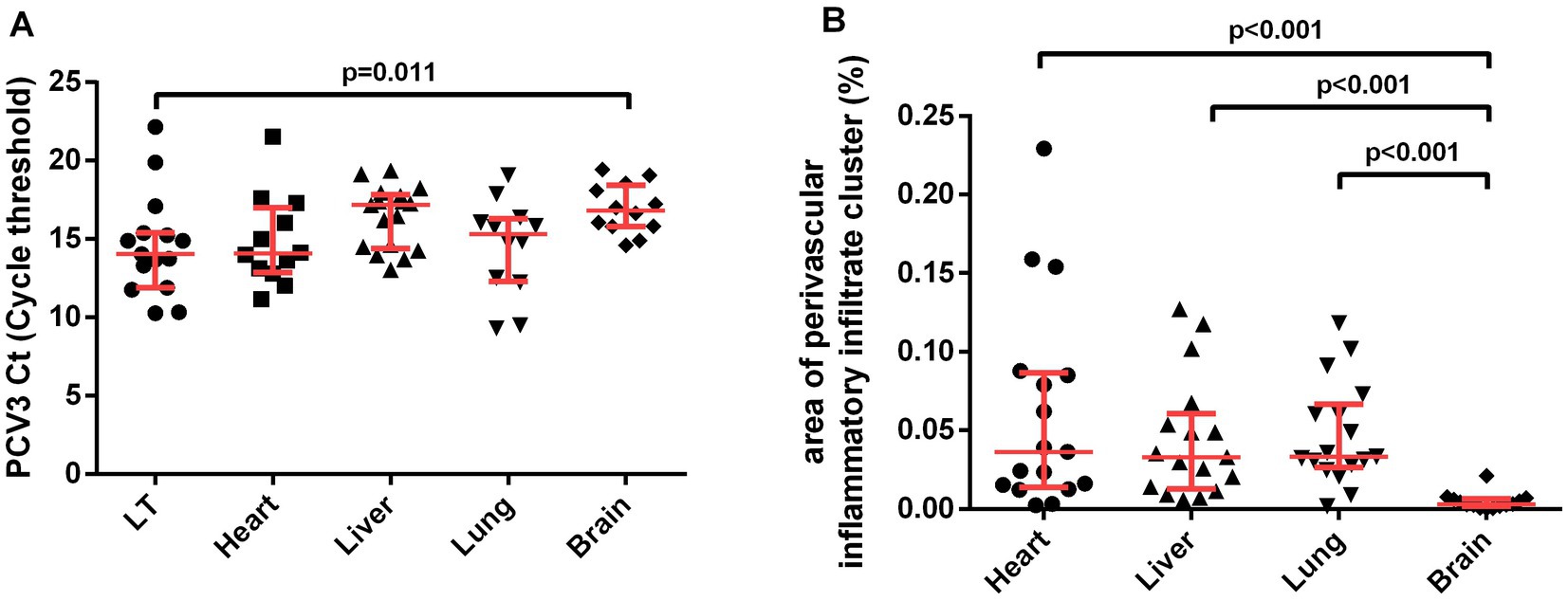 Frontiers  Porcine circovirus type 3: immunohistochemical detection in  lesions of naturally affected piglets