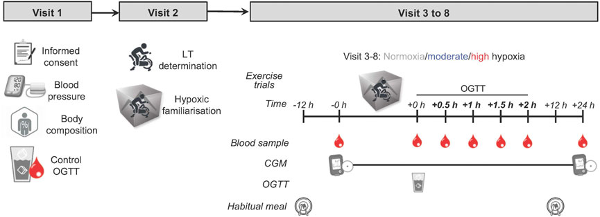 865px x 314px - Frontiers | Combined effects of exercise and different levels of acute  hypoxic severity: A randomized crossover study on glucose regulation in  adults with overweight