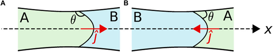 www.frontiersin.org