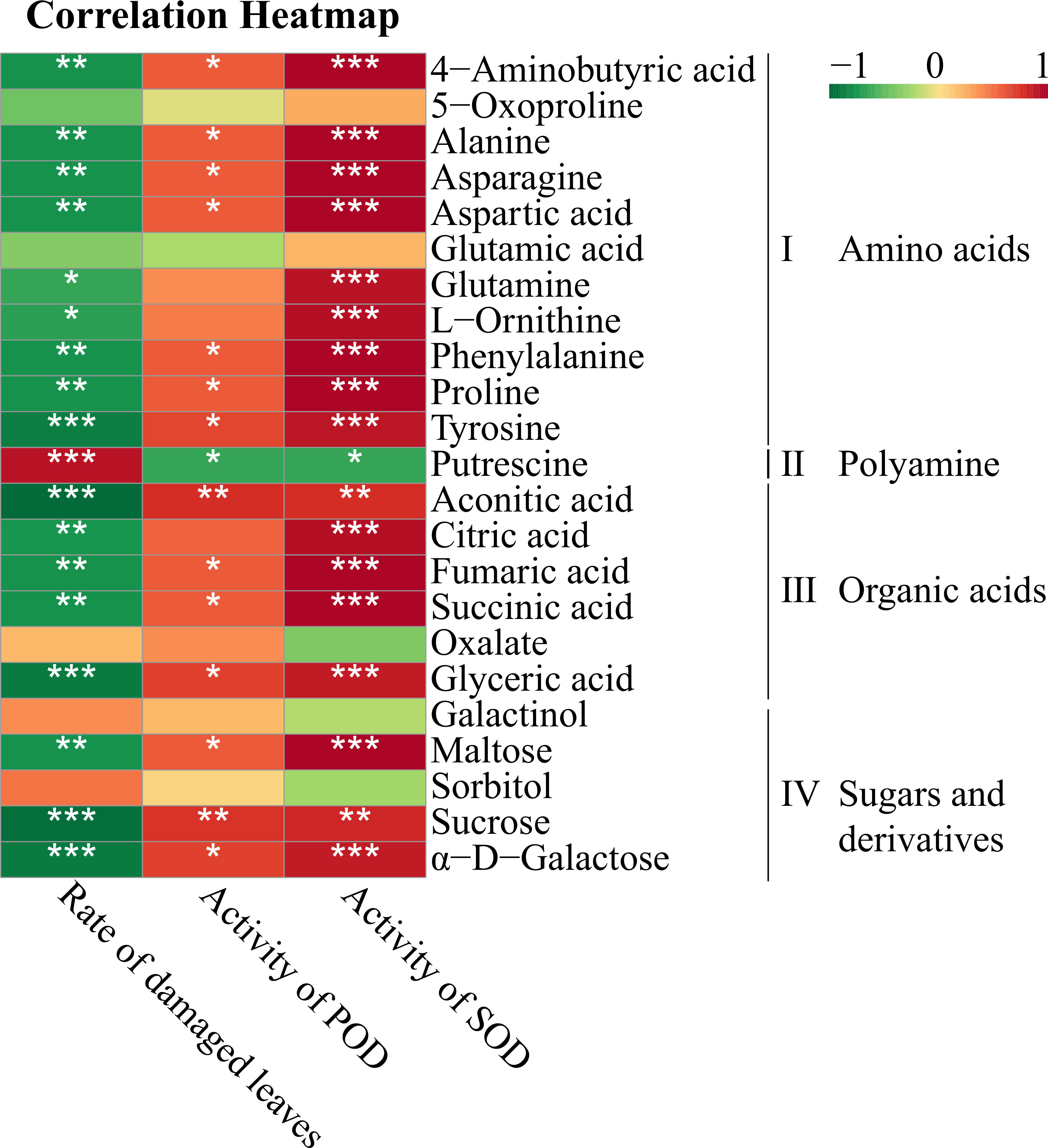 Frontiers | Exogenous leucine alleviates heat stress and