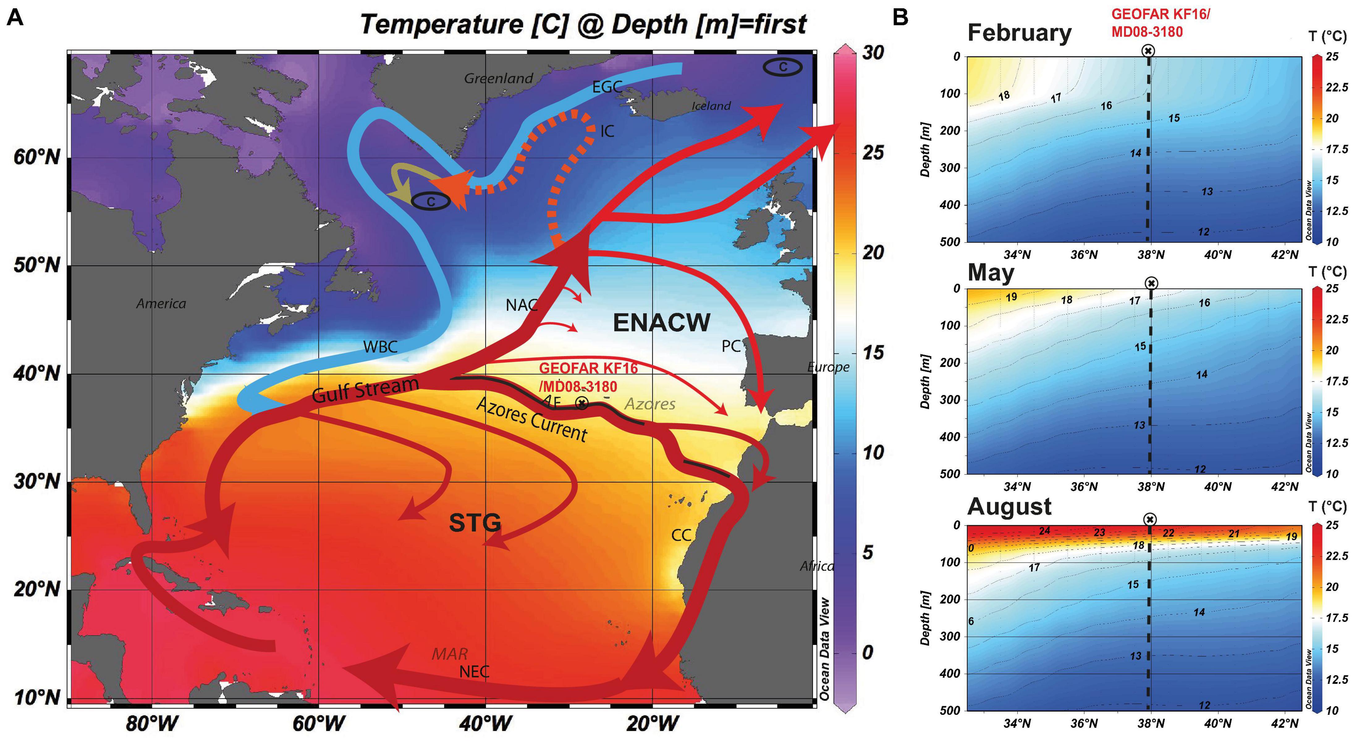 Enhanced North Pacific subtropical gyre circulation during the late  Holocene