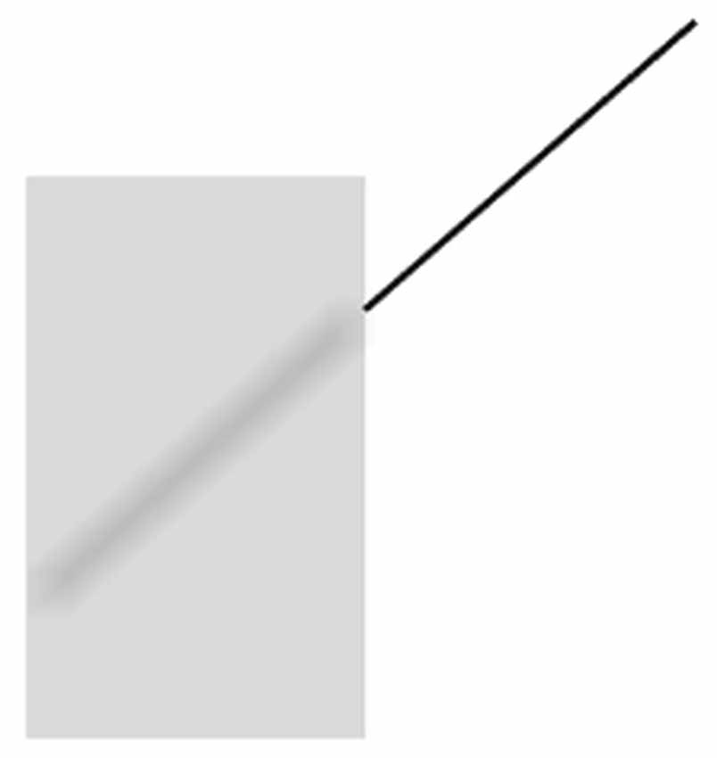 www.frontiersin.org