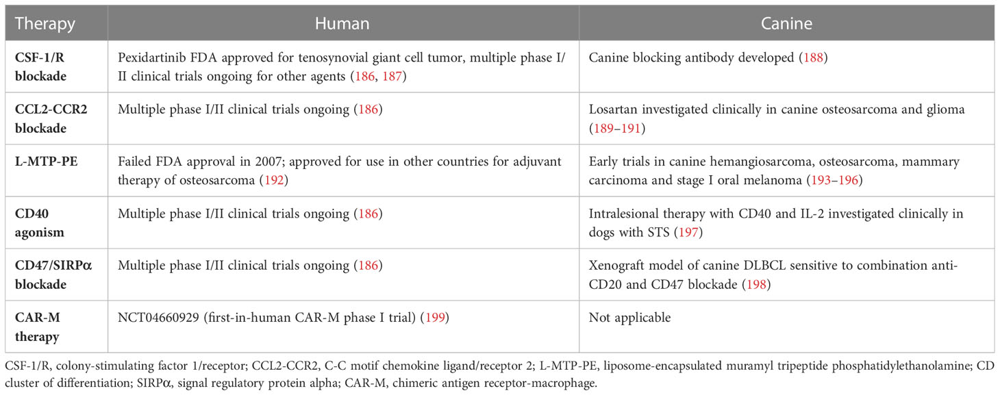 Frontiers | Tumor-associated macrophages: Prognostic and