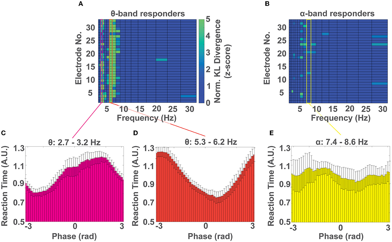 Frontiers | Alerting attention is sufficient to induce a phase-dependent behavior that can be ...