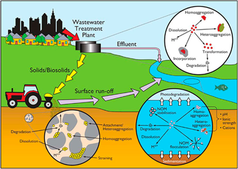 Evaluation of Exposure Concentrations Used in Assessing Manufactured  Nanomaterial Environmental Hazards: Are They Relevant?