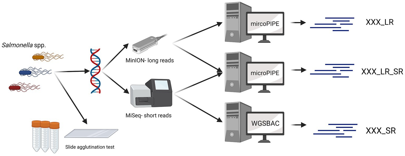 Bioinformatic analyses - Genevia Technologies