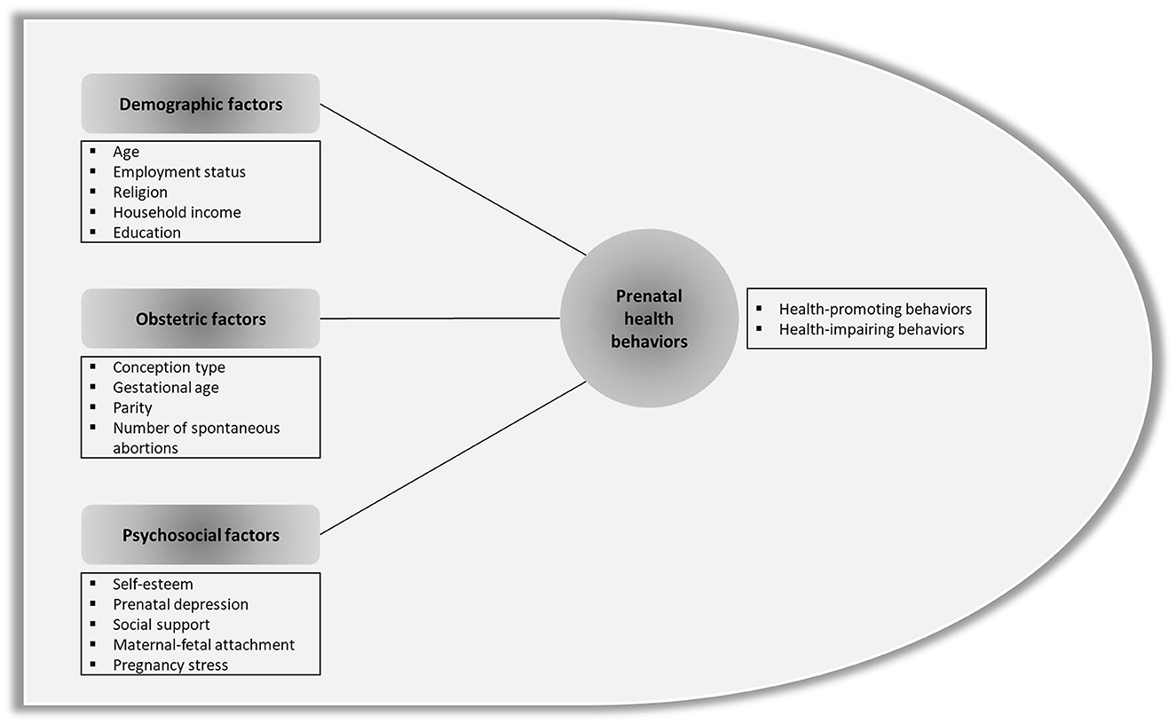 Socio-cultural influences on the behaviour of South Asian women with  diabetes in pregnancy: qualitative study using a multi-level theoretical  approach – topic of research paper in Health sciences. Download scholarly  article PDF