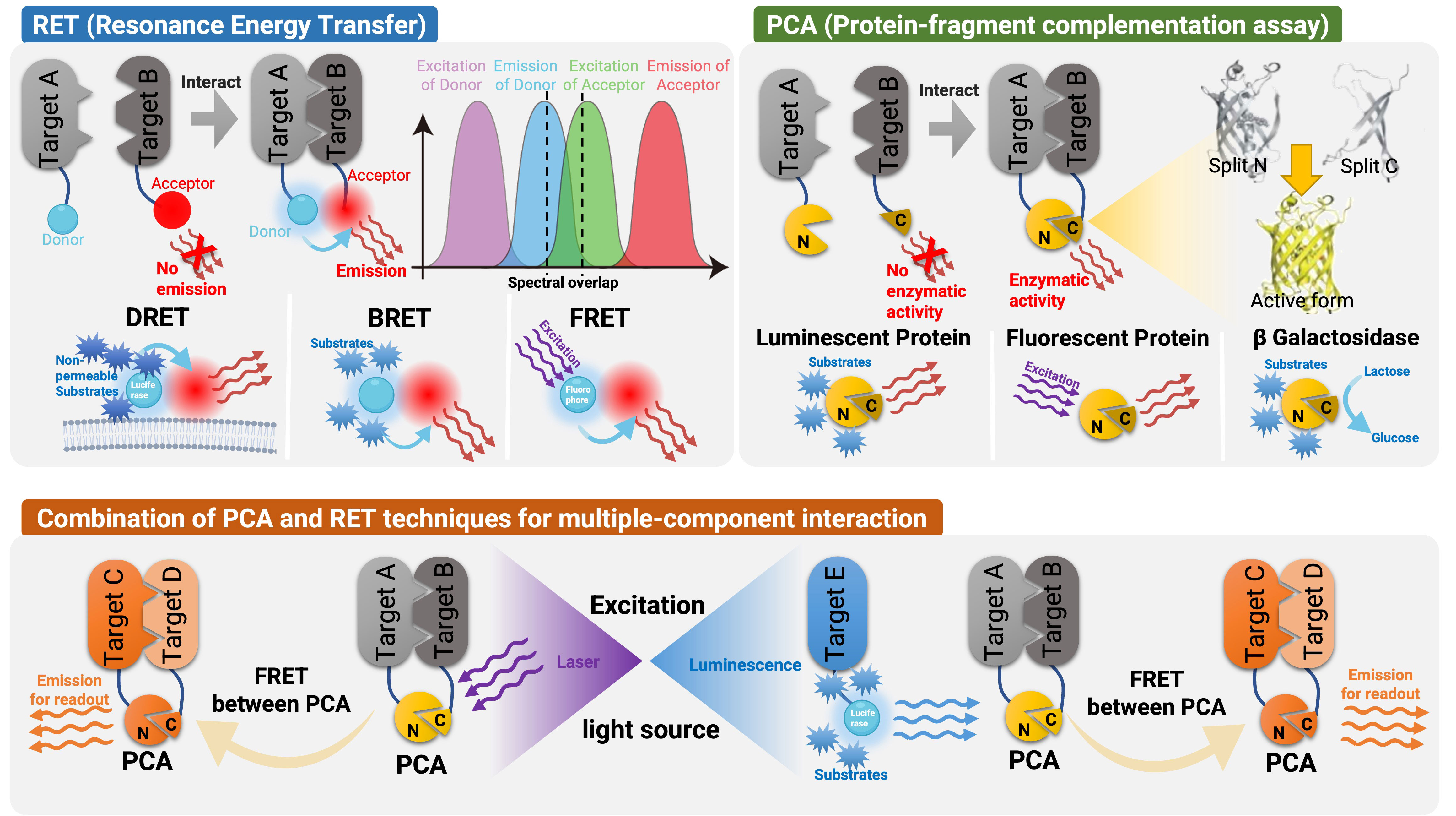 Convenient kits for establishing peptide purification conditions