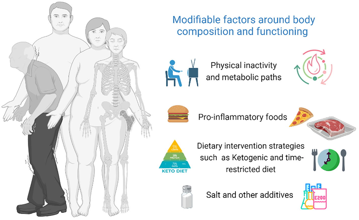 How to Improve Body Composition, Based on Science