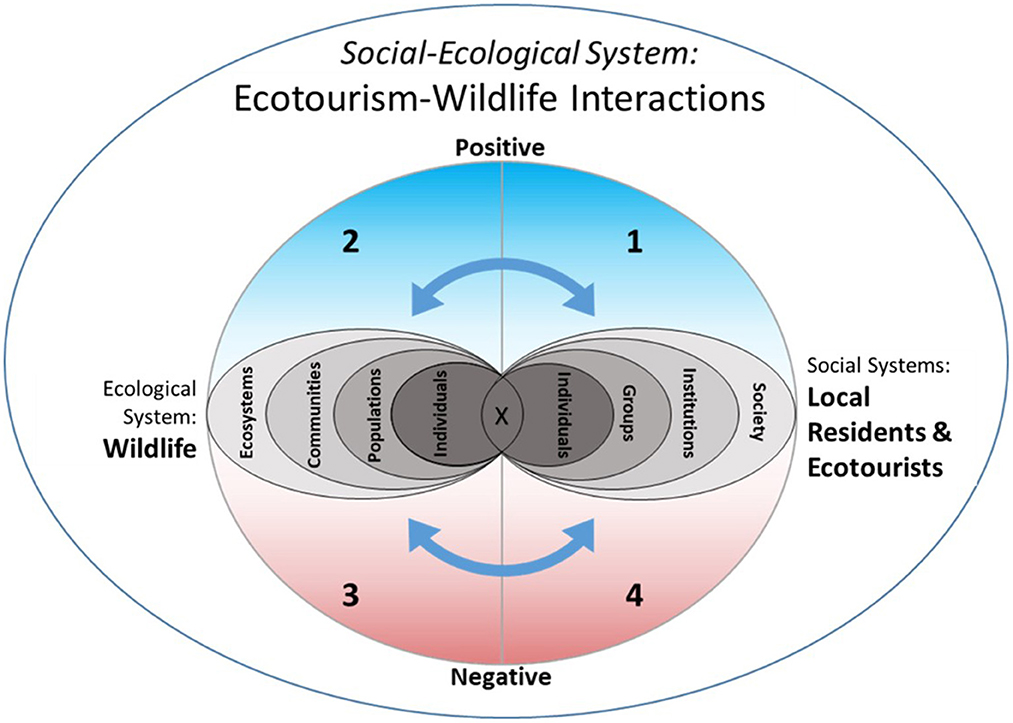 conceptual framework for wildlife tourism