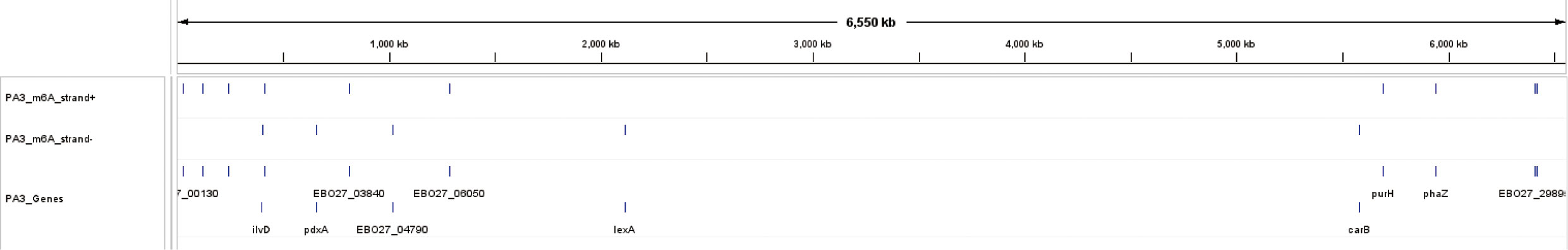 www.frontiersin.org
