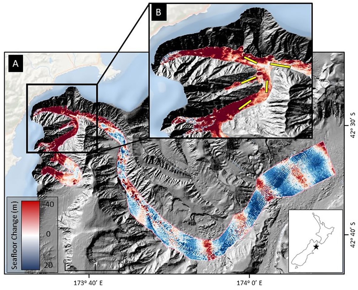 Frontiers | Deep-sea benthic megafauna hotspot shows indication of