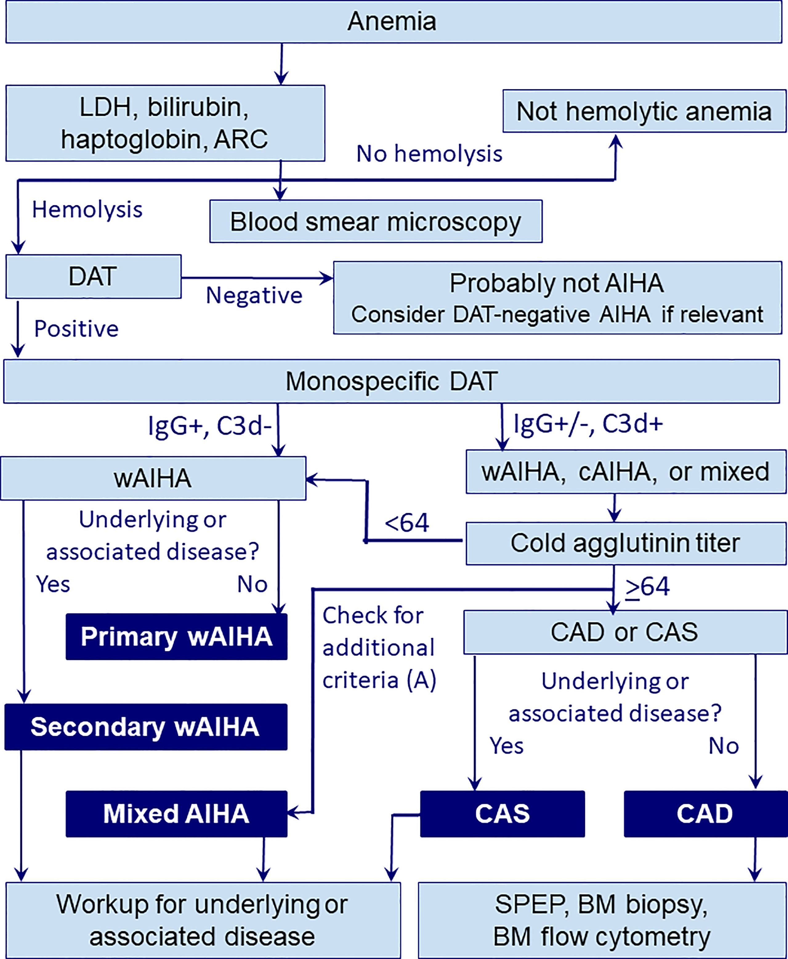 Diagnosis And Treatment Of Autoimmune Hemolytic Anemia In 45 OFF