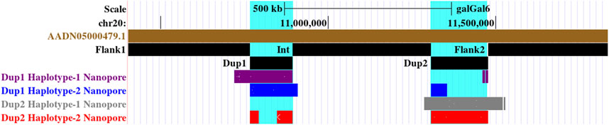 www.frontiersin.org