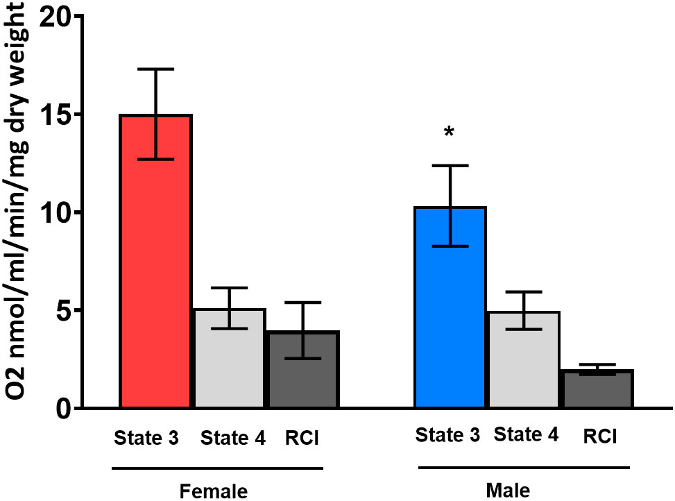 Frontiers Sex Differences And Estrogen Effects In Cardiac Mitochondria In Human Aortic