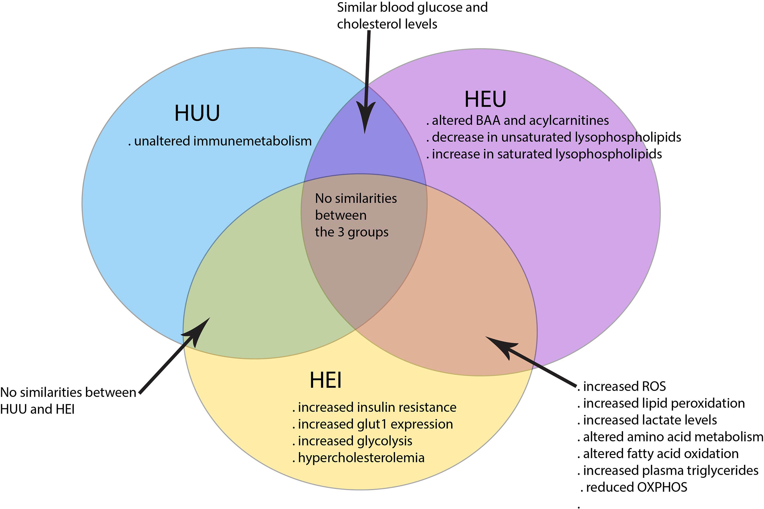 Metabolism of the Human Immunodeficiency Virus Type 1 Reverse