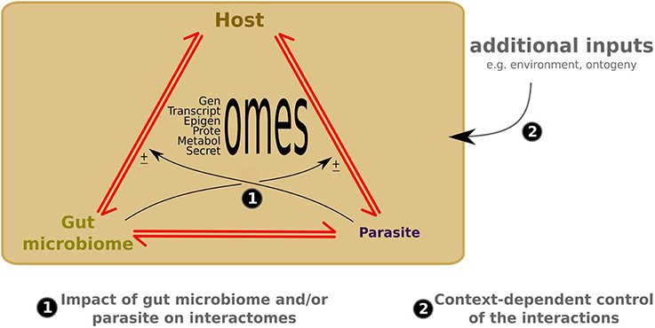 www.frontiersin.org