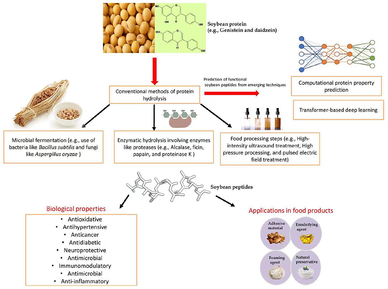 Frontiers Recent Advances In Exploring And Exploiting Soybean frontiers-recent-advances-in-exploring-and-exploiting-soybean