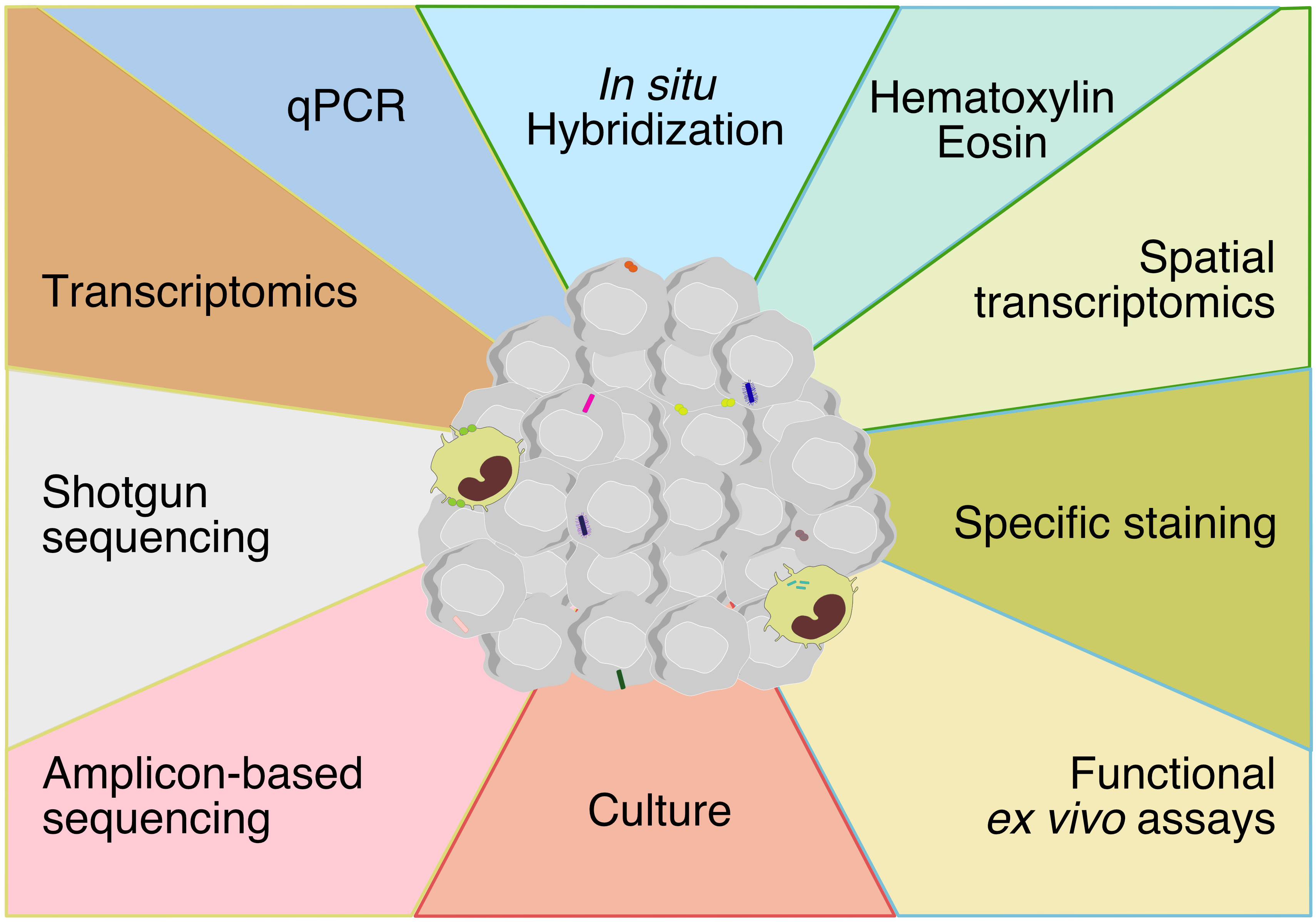 Applying multi‐omics toward tumor microbiome research - Zhang - 2023 -  iMeta - Wiley Online Library