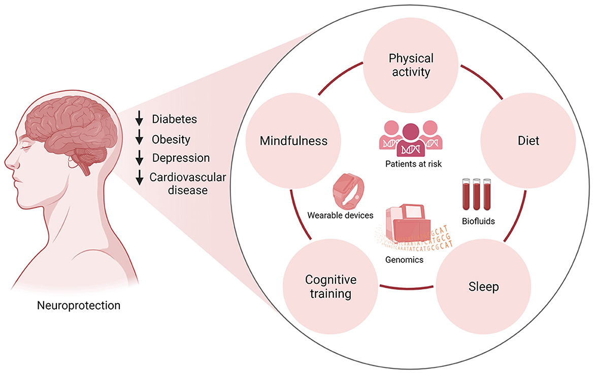 Frontiers  Physical activity and lifestyle modifications in the