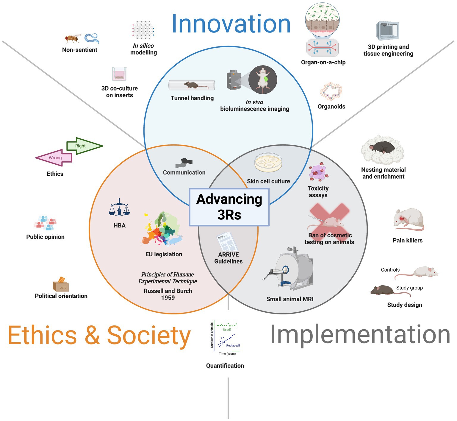 CLL Society Introduces the Protecting Innovation in Rare Cancers