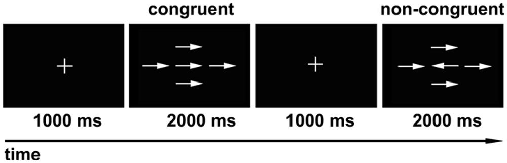 www.frontiersin.org