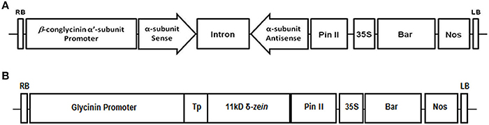 www.frontiersin.org