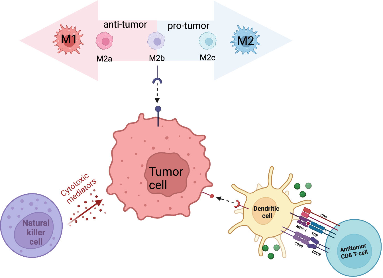 Frontiers  Breaking down the tumor immune infiltration within pediatric  sarcomas