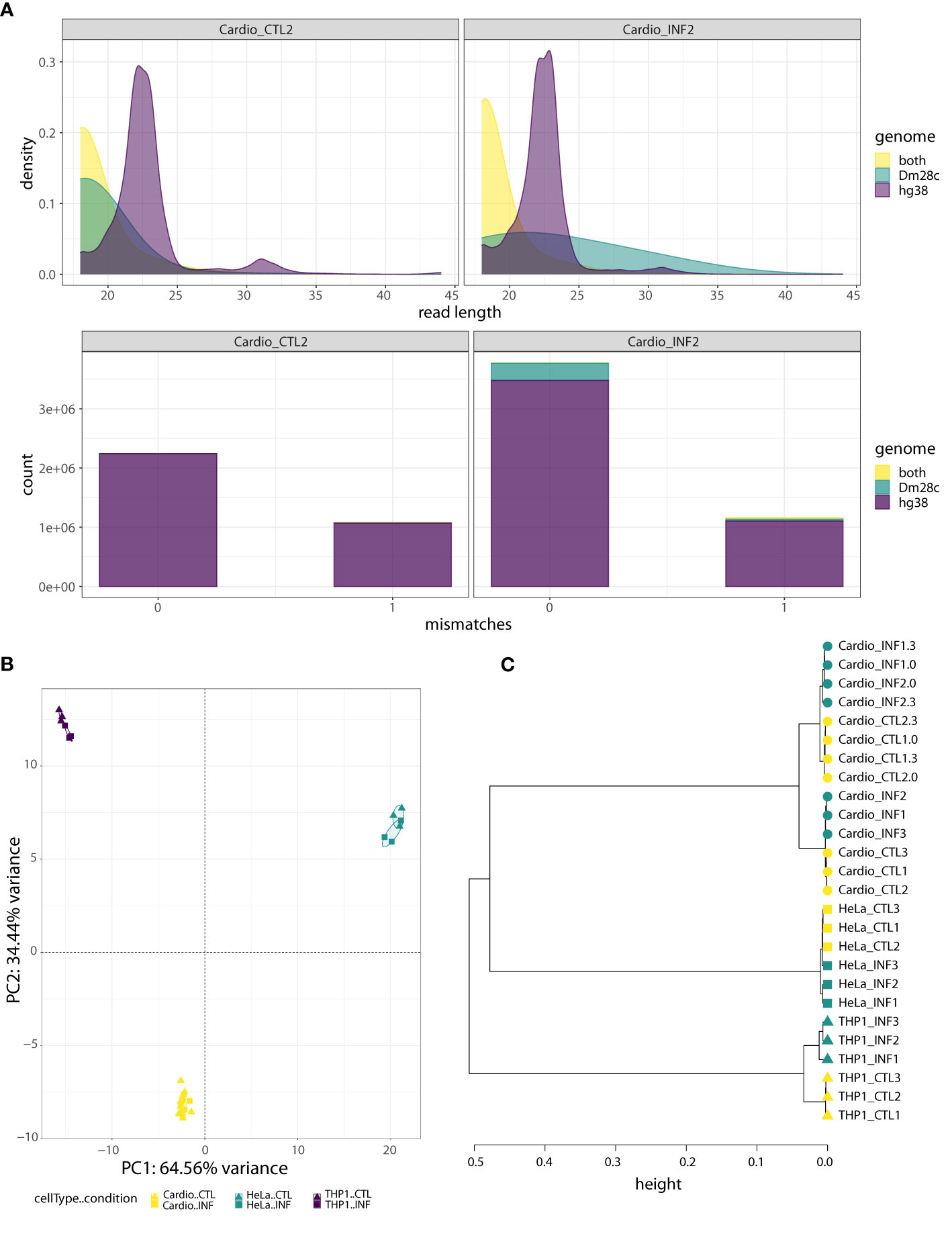 Frontiers  Comparative microRNA profiling of Trypanosoma cruzi infected  human cells