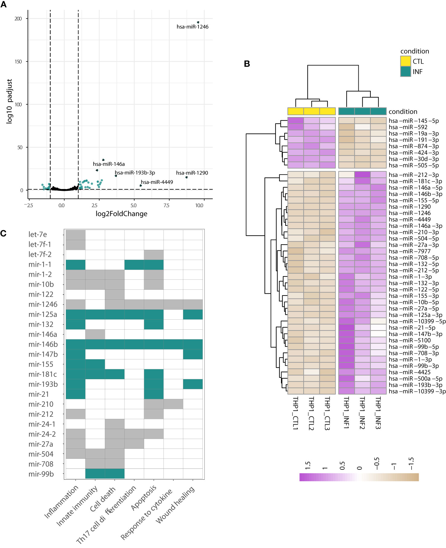 Frontiers  Trypanosoma cruzi Genomic Variability: Array