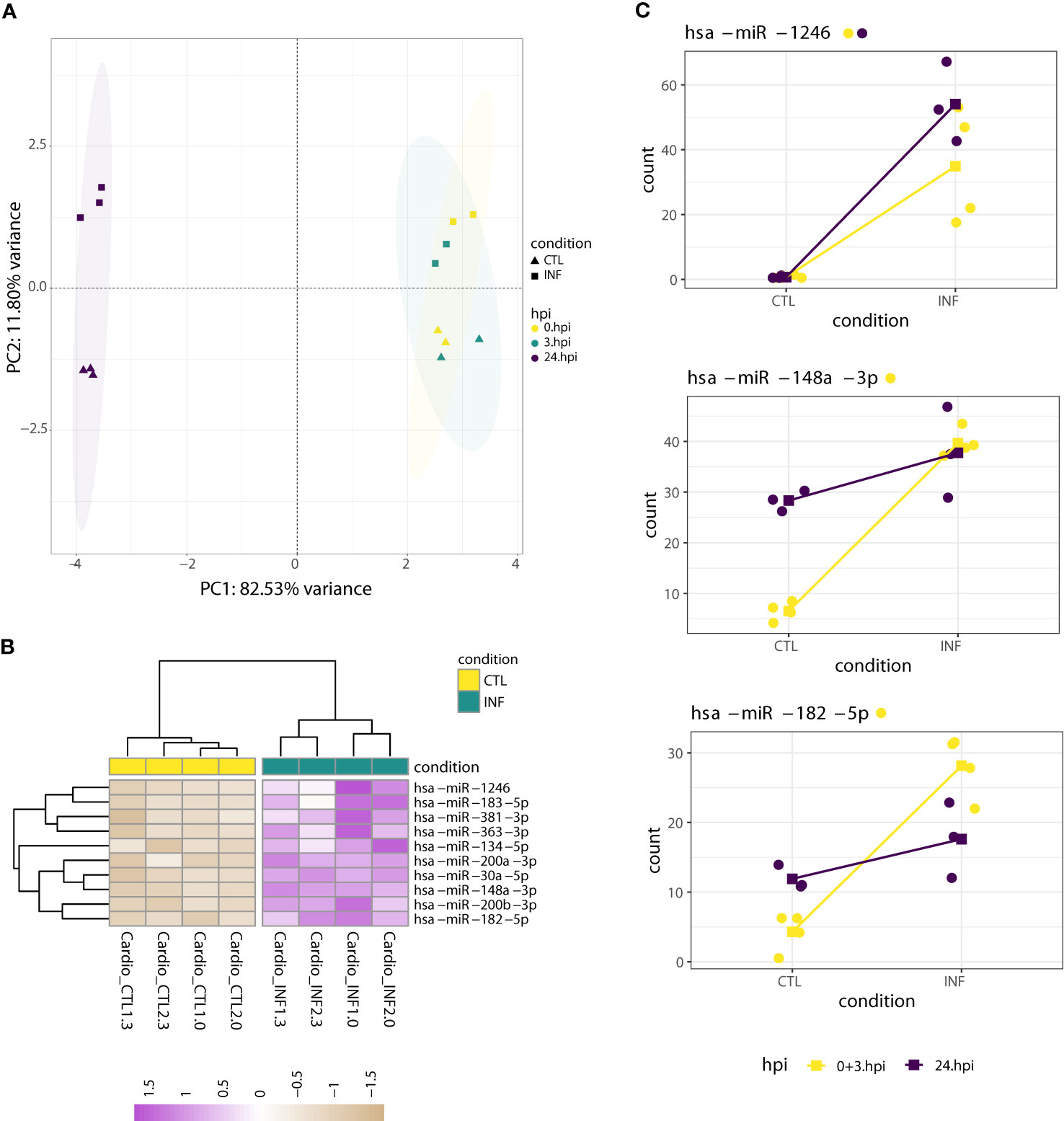 Frontiers  Trypanosoma cruzi Genomic Variability: Array