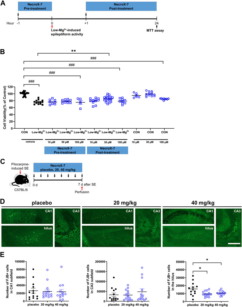 Examination of RVA-induced necroptosis and apoptosis by confocal