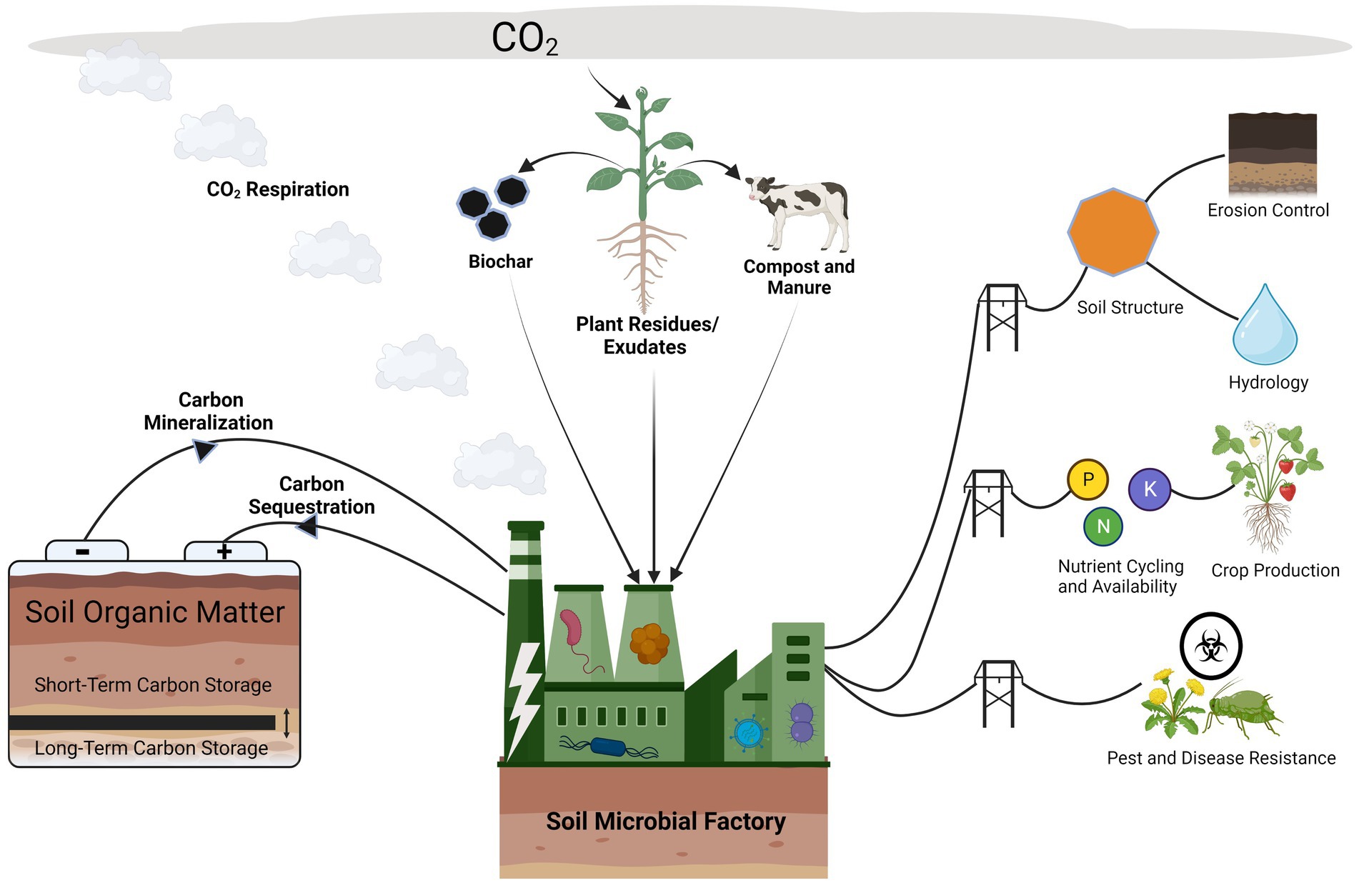 SOIL - Quality assessment of meta-analyses on soil organic carbon