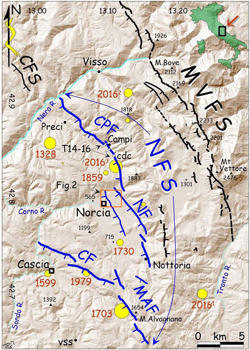 www.frontiersin.org