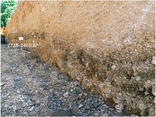 www.frontiersin.org