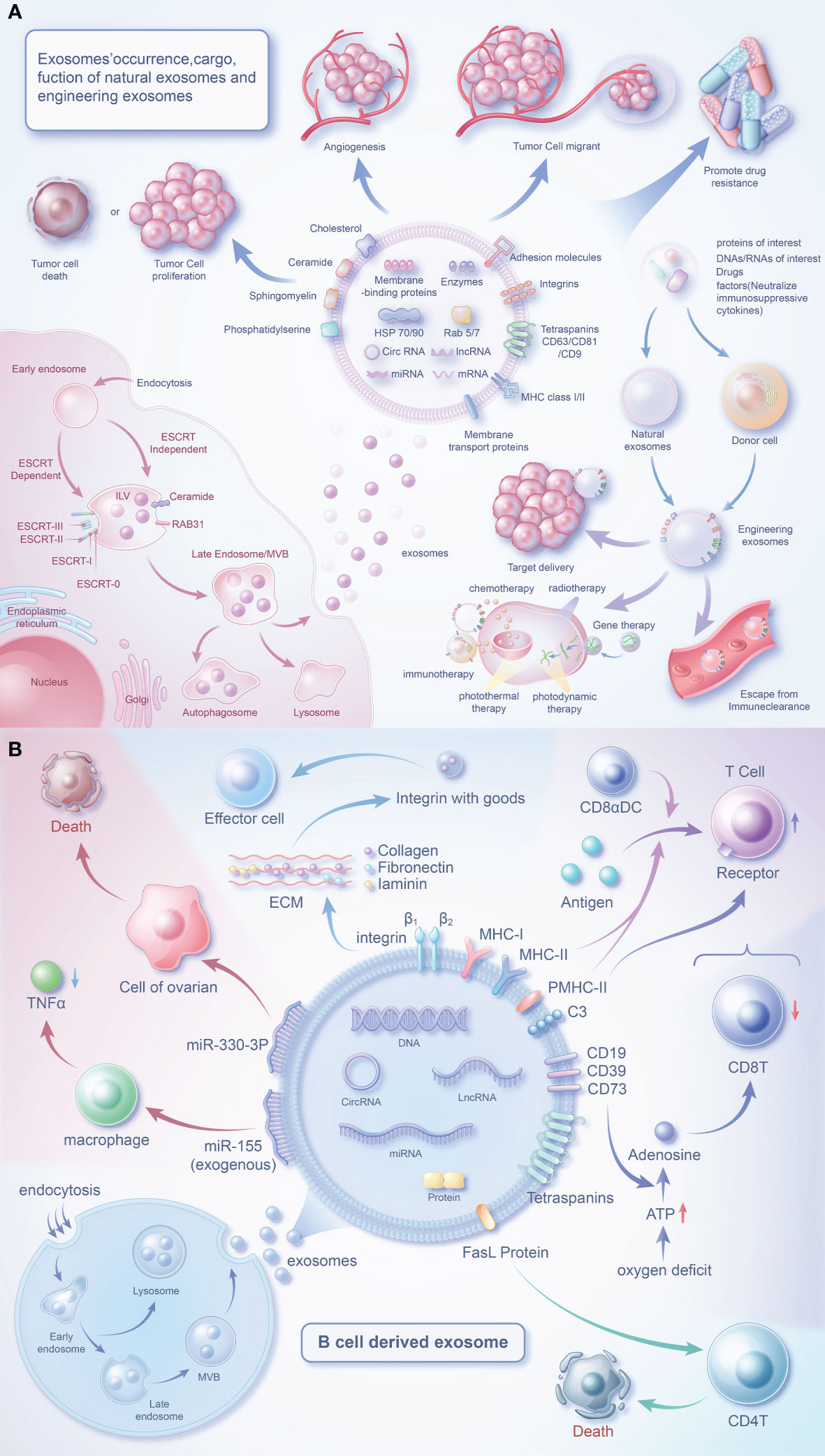 Frontiers | Revolutionizing anti-tumor therapy: unleashing the 